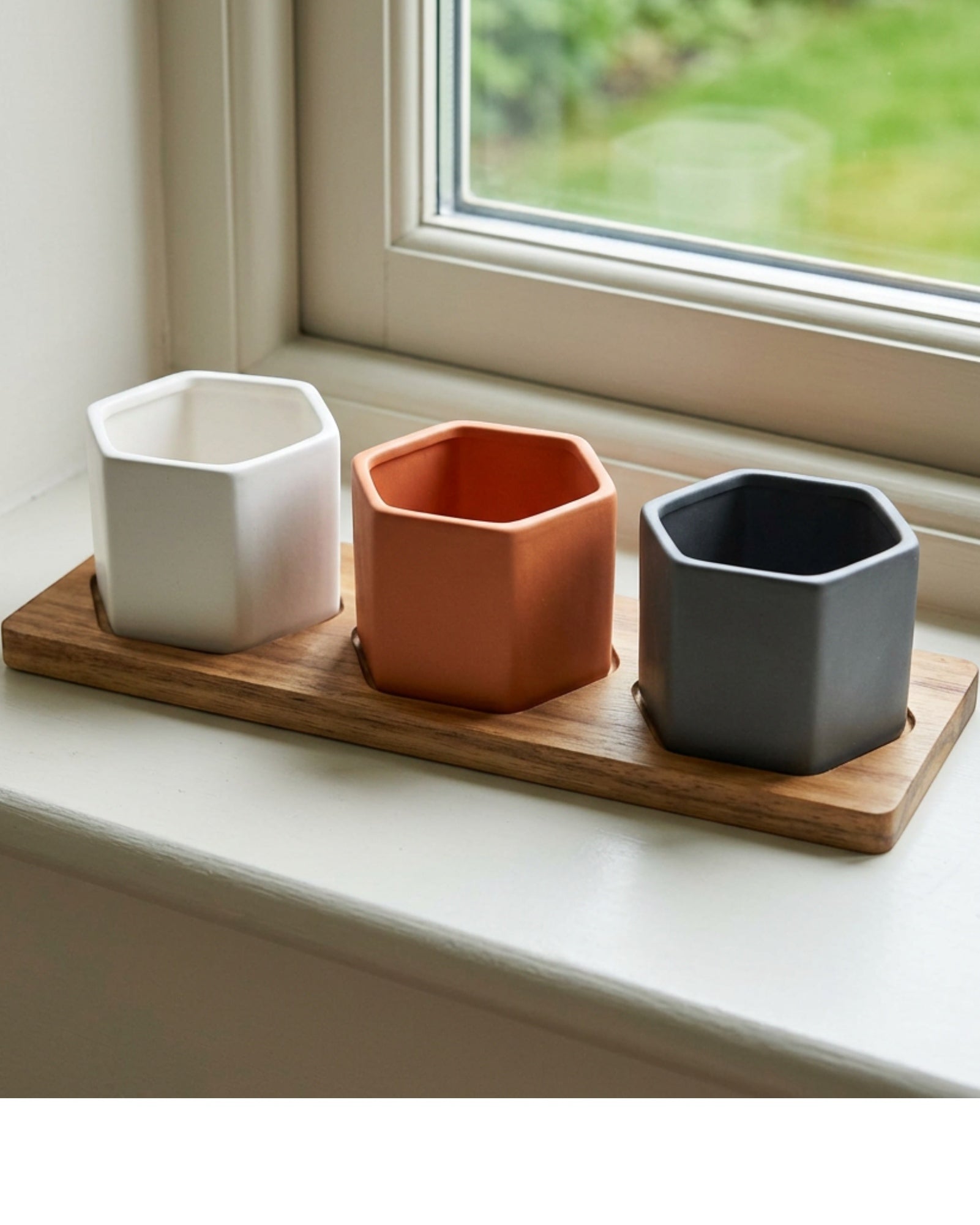 Ywjfk Hexagonal Mini Ceramic Planter Set of 3 with Acacia Tray - Lifestyle view