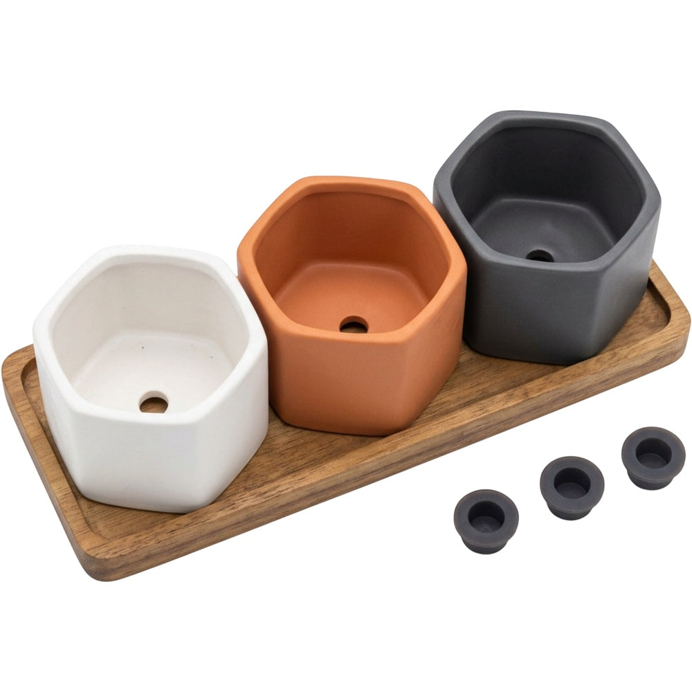 Ywjfk Hexagonal Mini Ceramic Planter Set of 3 with Acacia Tray - Product view