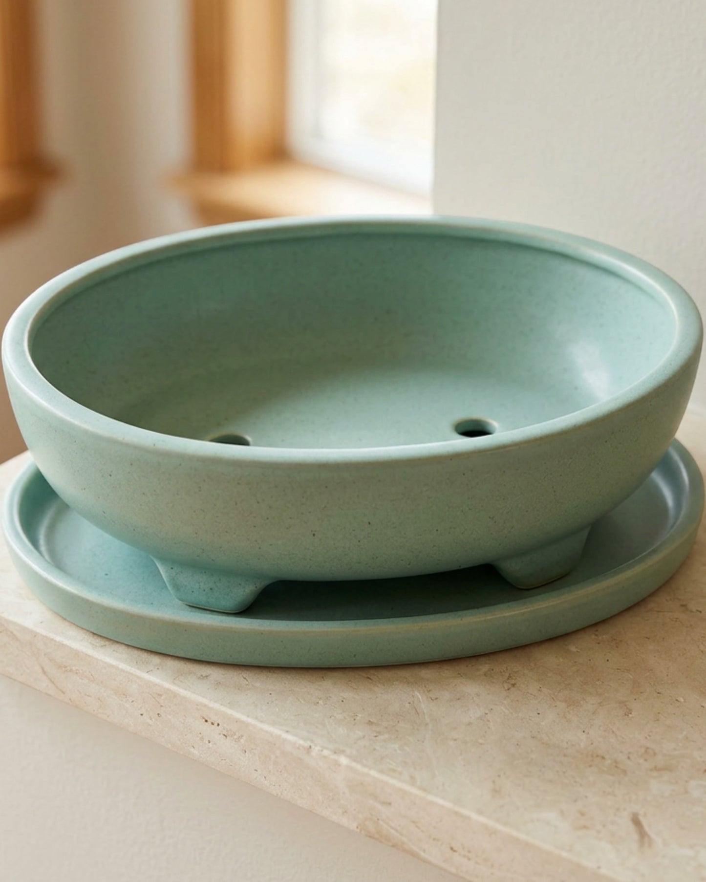 Ywjfk Oval Bonsai Ceramic Planter with Tray Seafoam - Lifestyle view