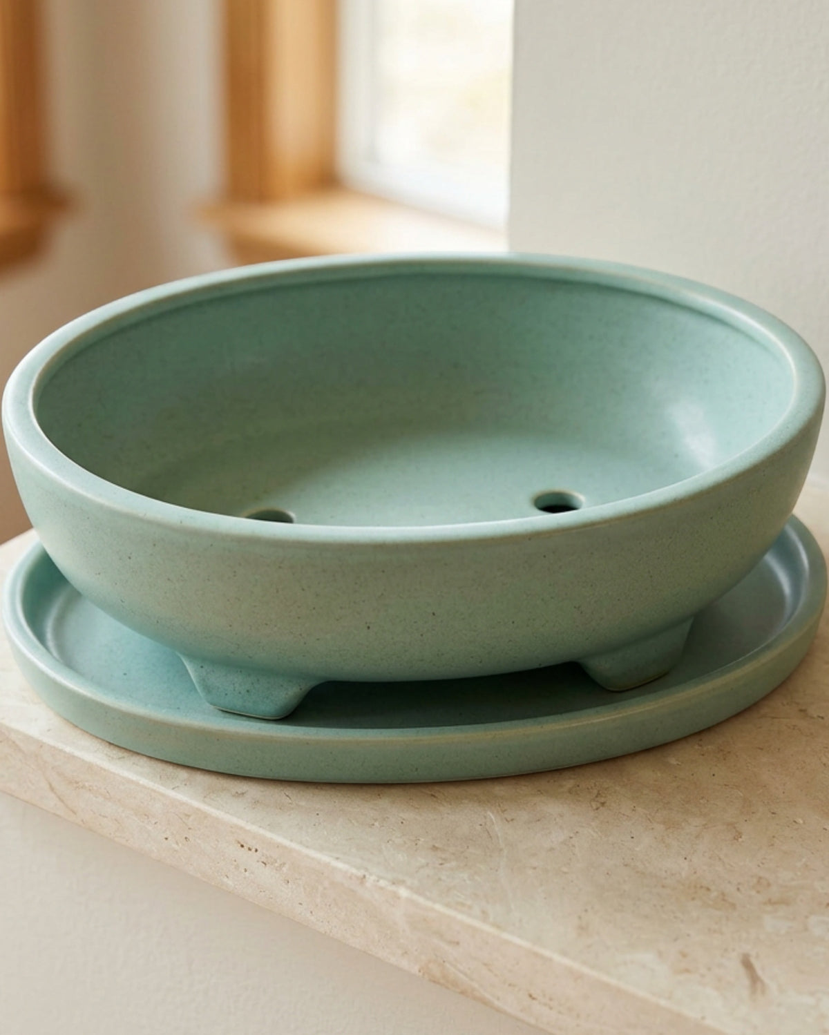 Ywjfk Oval Bonsai Ceramic Planter with Tray Seafoam - Lifestyle view